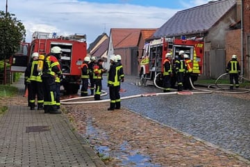 Einfamilienhaus steht in Flammen: Anwohner, Hund und Papageien evakuiert