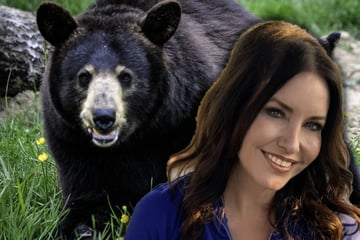 Reporterin wird während Live-Übertragung von Bär überrascht