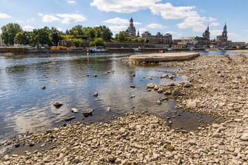 Dresden: Umweltschützer bemängeln Wassermangel in der Elbe