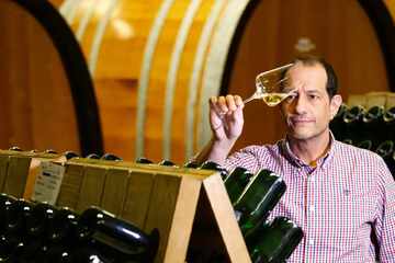 Wie die sächsischen Winzer auf den Alkoholfrei-Trend reagieren