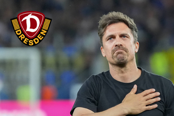 Die Tinte ist trocken: Das ist der neue Cheftrainer von Dynamo Dresden