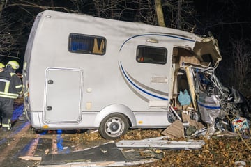 Drama im Wald: Wohnmobil rast gegen Baum, Fahrer stirbt