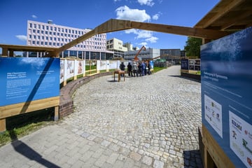 Chemnitz: Chemnitz: Hier schlummert ein Schatz aus dem Mittelalter