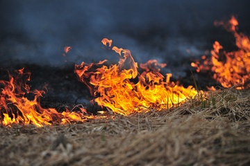 Firefighters tackle blaze in barley field made famous by Rihanna