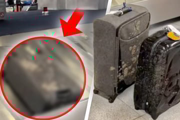 Ekel-Alarm am Flughafen: Koffer mit Kot und Urin beschmiert?