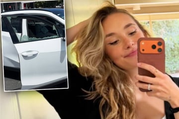 "Wie in aller Welt kann man bloß ...": Frau von Ex-Bundesliga-Star schlägt Autoscheibe ein und rettet Hund