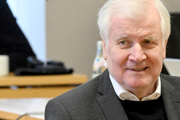 Seehofer: AfD auf Schlagdistanz, Kritik an Merkel