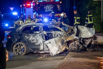 Auto kracht frontal gegen Baum! Insasse verbrennt im Wrack