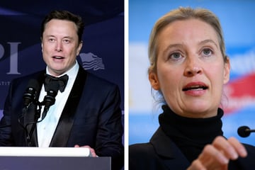 Elon Musk: Elon Musk plant Livestream mit Alice Weidel: EU-Kommission unter großem Druck