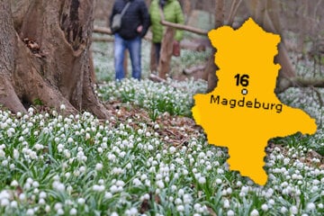 Wetter in Sachsen-Anhalt macht zur Wochenmitte eine Kehrtwende