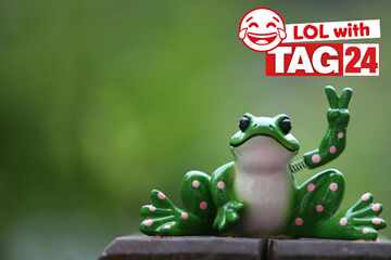 Joke of the Day for September 3, 2025: A frog funny to make you smile