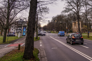 Dresden: Autofahrerin bremst am Großen Garten: Plötzlich wird sie von einem Mann bedroht