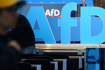 AfD nervös vor Europawahl: Ländle-Wahlkampf ohne Spitzenkandidat!
