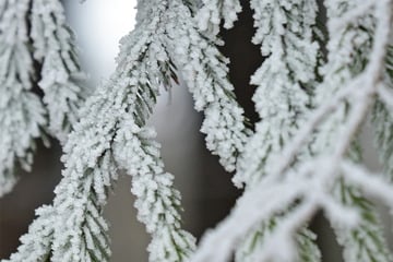 Dauerfrost zu Weihnachten: So wird das Wetter in Thüringen