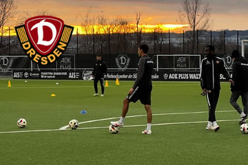 Dynamo-Dresden-Blog: Öffentliches SGD-Training ohne Lehmann und Heise