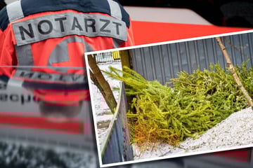 Frau wirft Weihnachtsbaum aus dem sechsten Stock - mit bösen Folgen