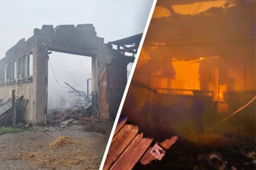 Stundenlanger Großeinsatz: Lodernde Flammen zerstören Stall komplett