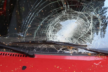 Dresden: Mann randaliert in Dresden und schlägt Bus-Scheibe ein: Kind verletzt