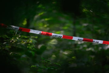Berlin: Waffenlager bei Berlin ausgehoben: Planten "fremde Mächte" einen Anschlag?