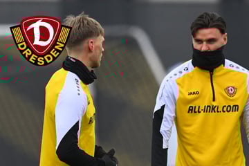 Dynamo-Dresden-Blog: Kein öffentliches Training in dieser Woche