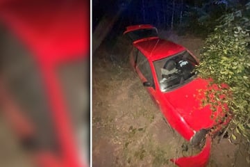 Seat kracht gegen Baum: Junger Fahrer verliert Führerschein