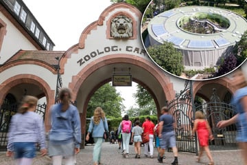 Leipziger Zoo-Besuch künftig teurer: Ziehen sächsische Mitstreiter nun nach?