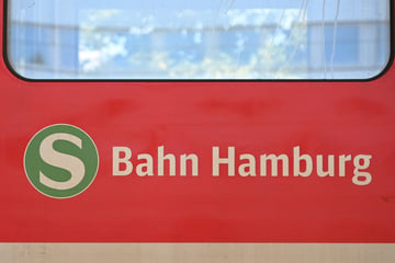 S-Bahn kracht in Baum: 25 Reisende evakuiert