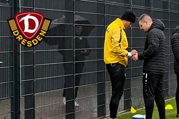 Sorge um Schreiber: Dynamos Keeper muss Training abbrechen