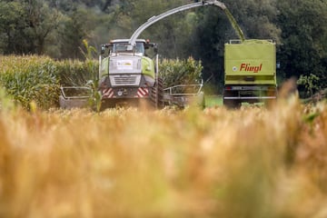 Suche nach Kind in Maisfeld: Erntearbeiten eingestellt