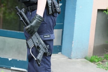 Blechdieb kann sich nicht ausweisen: Als Polizisten seine Wohnung betreten, machen sie brisanten Fund
