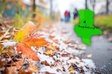 Kalte, nasse Woche in Sachsen-Anhalt: Schnee und Regen wechseln sich ab