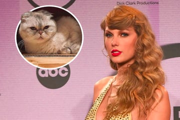 97 Millionen US-Dollar wert: Taylor Swifts Katze ist drittreichstes Haustier der Welt!