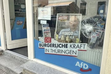 Bereits zum siebten Mal: Angriff auf AfD-Wahlkreisbüro