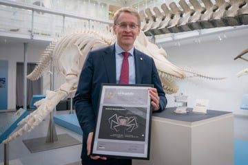 Neue Krabbenart wird nach Ministerpräsident benannt, doch der erntet Spott