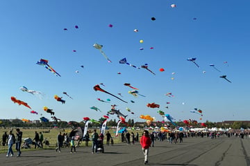 Berlin: Fische, Teddybären und Elvis: Mehr als 2000 Riesendrachen über dem Tempelhofer Feld