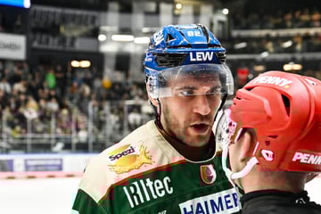 Sechs Spiele Sperre! Eishockey-Profi leistet sich unglaubliche Tätlichkeit gegen Schiedsrichter
