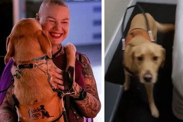 Sehbehinderte Frau wird aus Hotel geworfen, weil sie ihren Hund dabeihat