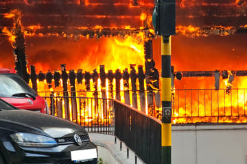 Hamburg: Feuer in Hamburg: Schuppen und Auto brennen, dutzende Feuerwehrleute im Einsatz