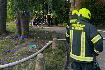 7 Menschen und 2 Hunde in Flammen gefangen: Feuerwehr NRW im Großeinsatz