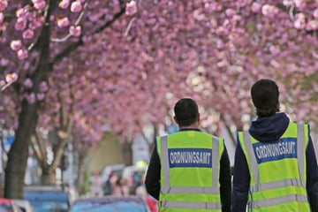 Köln: Kirschblüte lockt Menschen aus der ganzen Welt nach Bonn: Wann geht es endlich los?