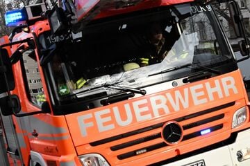Stallbrand am Bodensee: 40 Rinder und eine Katze verenden im Feuer