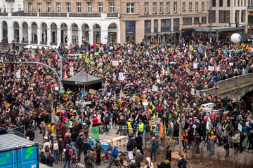 "Fridays for Future" protestiert in Hamburg: "Die Zahl der Autos muss runter"
