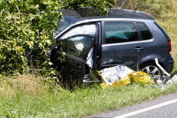 VW-Fahrer verliert Kontrolle und kracht gegen Baum: Mann mit Heli in Klinik transportiert