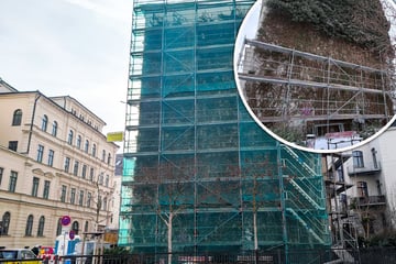 Leipzig: Wegen Schäden im Dachbereich: Leipzigs älteste Fassadenbegrünung nun komplett zerstört?
