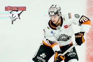 Rückkehr des verlorenen Sohnes perfekt: Kölner Haie holen Bokk aus Frankfurt