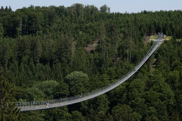 Attraktion soll 100.000 Touristen anziehen: Grünes Licht für Skywalk in Oberhof