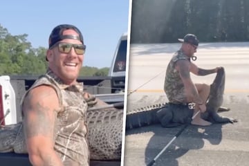 Knockout! Kampfsportler ringt Alligator barfuß auf der Autobahn nieder