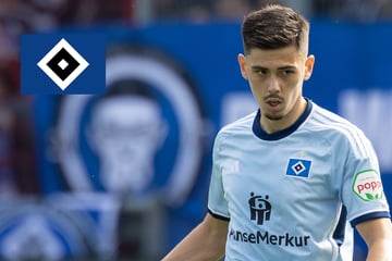 HSV-Blog: Länderspiel ohne Einsatz für HSV-Profi