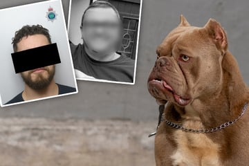 Hunde töten Familienvater - jetzt muss ihr Besitzer mehrere Jahre in den Knast