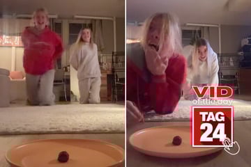 viral videos: Viral Video of the Day for November 16, 2025: Girl chips both front teeth in wild TikTok challenge fail